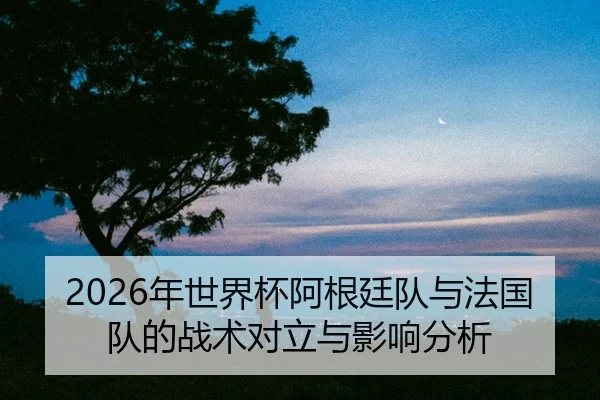 nian-shi-jie-bei-a-gen-ting-dui-yu-fa-guo-dui-de-zhan-shu-dui-li-yu-ying-xiang-fen-xi-2-164.jpg
