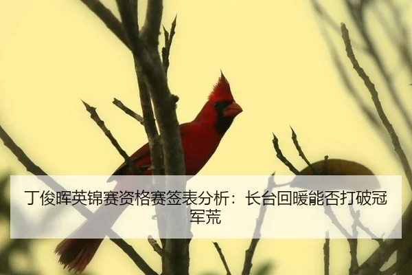 ding-jun-hui-ying-jin-sai-zi-ge-sai-qian-biao-fen-xi-zhang-tai-hui-nuan-neng-fou-da-po-guan-jun-huang-3-786.jpg
